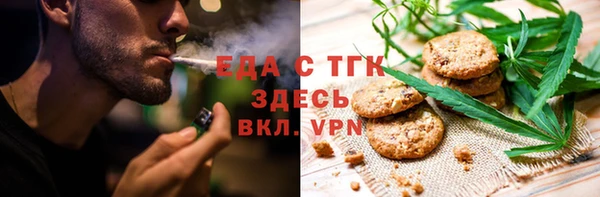 гидра Вяземский