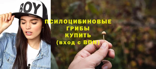 гидра Вяземский
