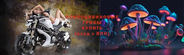 гидра Вяземский
