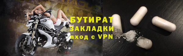 гидра Вяземский