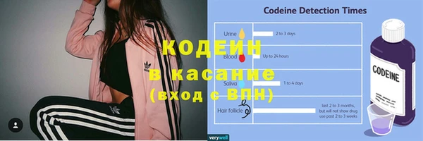 гидра Вяземский