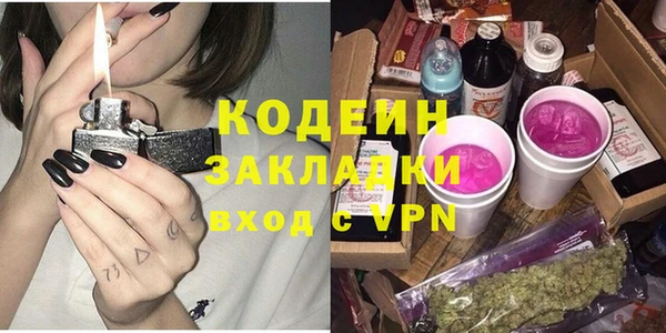 гидра Вяземский