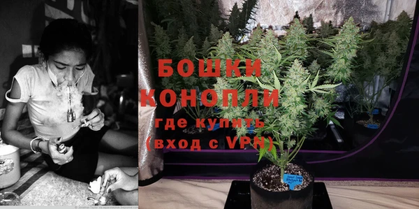 гидра Вяземский