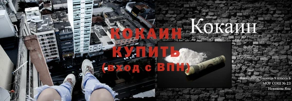 гидра Вяземский