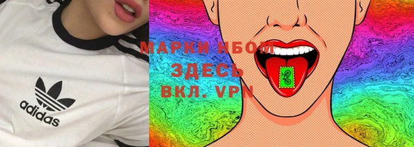 гидра Вяземский
