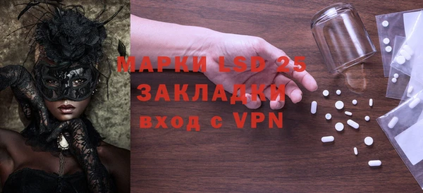 гидра Вяземский