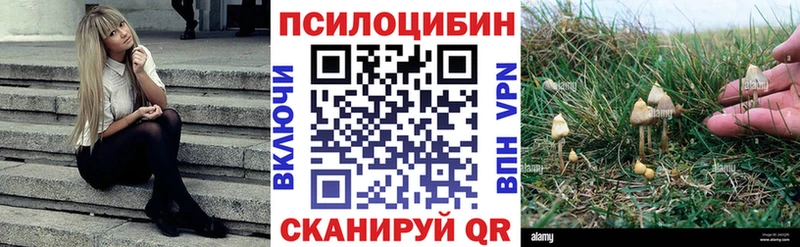 купить наркоту  Иркутск  Псилоцибиновые грибы Magic Shrooms 